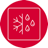 Decongelare